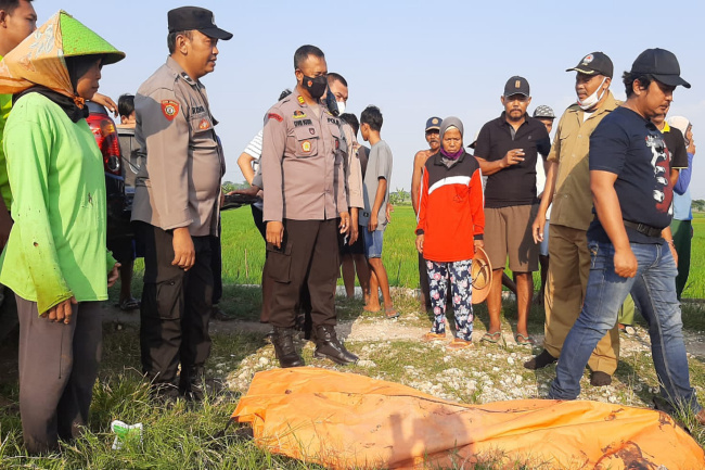 Seorang Perempuan Ditemukan Meninggal Tersengat Listrik di Area Persawahan Sokokulon