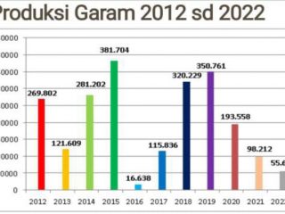Produksi Garam di Pati Terus Anjlok Sejak 2020