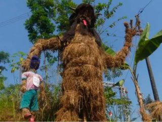 Yuk Intip Keseruan Festival Memeden Gadhu di Jepara