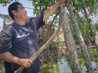 Tak Hanya Keindahan Pantai, Kawasan Mina Mangrove Tunggulsari Juga Tawarkan Potensi Lain