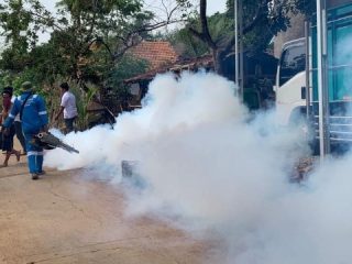 Dinkes Pati Tidak Anjurkan Fogging untuk Pemberantasan DBD