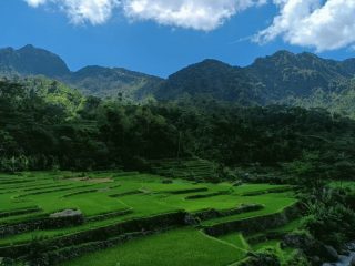 Harga Sama dengan Tahun Lalu, Petani Sudah dapat Tebus Pupuk Bersubsidi