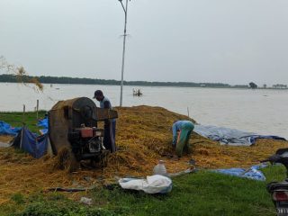 Lahan Terendam Banjir, Petani Cangkring: Takut Tidak Balik Modal