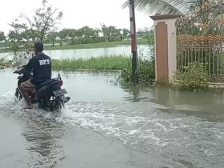 Banjir Tunggulsari Tayu, Rendam Ratusan Rumah Hingga Puluhan Hektare Sawah dan Tambak
