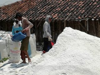 Nelangsa, Garam Petani Pati Dihargai Murah