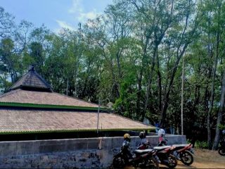 Cerita Mistis Pulau Seprapat, Tempat Pesugihan dan Kera Siluman