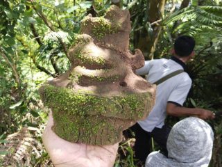 Ditemukan Terakota di Kawasan Situs Candi Bubrah