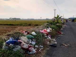 Sebut Warga Pati Tak Kunjung Sadar Soal Sampah, DLH: Memang Seperti Itu