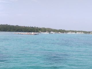 Jelajah Pulau Nyamuk, Jika Beruntung akan Disambut Kawanan Lumba-lumba