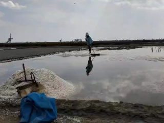 Petani Mumet, Garam Hanya Dihargai Rp700 Perkilo 