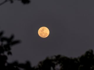 Keindahan Hunter Moon akan Percantik Langit Indonesia Malam Ini