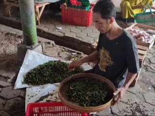 Harga Cabai Tak Kunjung Normal, Disdagperin Pati Ungkap Penyebab