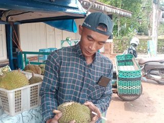 Durian Sisa Bajing Diburu Pembeli, Konon Permudah Dapat Keturunan