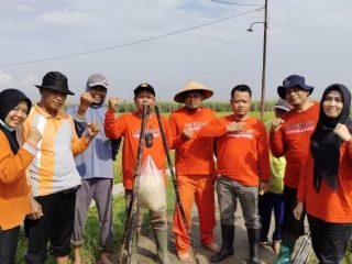 Luar Biasa! Lahan di Tambakromo Ini Capai Hasil Panen Lebih dari 10 Ton per Hektar