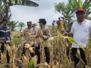 Akurasi Data Lahan Jagung, Polresta Rakor Bareng BPS Pati