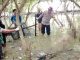 Viral, Mayat Perempuan Misterius di Rerimbun Mangrove Keboromo
