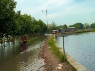 Banjir Rob di Desa Tunggulsari Tayu Belum Ditangani dengan Optimal