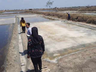 Harga Garam di Level Petambak Pati Kini Rp1.500 Perkilo