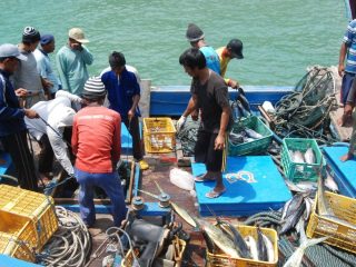 Ini Penyebab PAD Sektor Perikanan Pati Turun