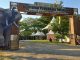 Pameran Cagar Budaya Abirama Purbakala Patiayam Digelar di Kudus Pekan Ini