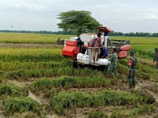 Tingkatkan Kesejahteraan Petani, Sudewo Janji Tingkatkan Kualitas Penyuluh 