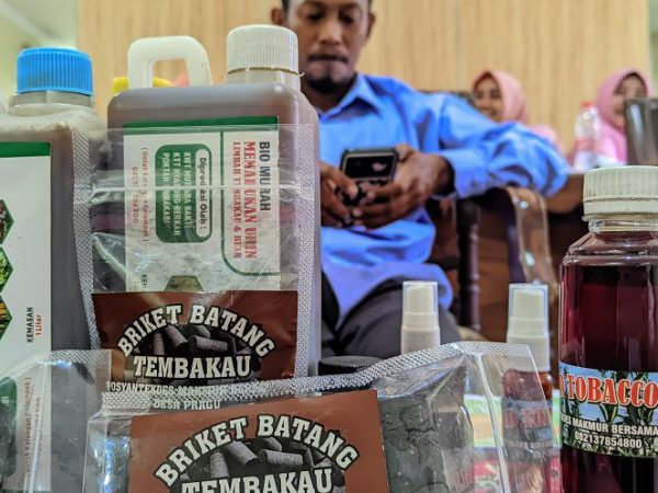 Inovasi Jenius, Limbah Tembakau Disulap Jadi Pestisida hingga Obat Gatal