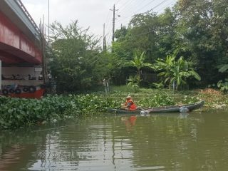 Sungai Silugonggo Dipenuhi Eceng Gondok, Nelayan Tradisional Tak Bisa Melaut