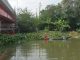 Sungai Silugonggo Dipenuhi Eceng Gondok, Nelayan Tradisional Tak Bisa Melaut