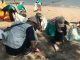 Sampah Laut Ternyata Bisa Didaur Ulang Jadi Tenaga Alternatif Pengganti Batu Bara