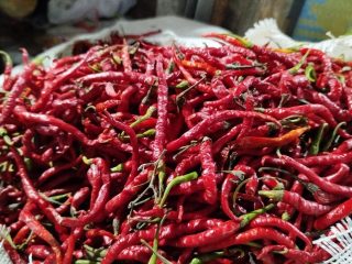 Panen di Mana-mana, Sebabkan Harga Cabai Keriting di Pati Turun