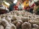 Jarang Disorot, Intip Harga Bawang Putih di Pati