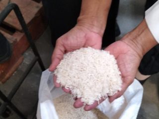 Gabah di Pati Banyak Terserap ke Perusahaan Besar, Kartelisasi Mulai Merebak
