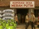 Wacana Distribusi Gas Melon dan Pupuk Lewat Kopdes Merah Putih, Warga: Alhamdulillah