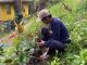 Tim PPK Ormawa UKM KPI Unhas Dorong Keberlanjutan Agrowisata Kopi Mattabulu