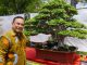 Pati Jadi Tuan Rumah Pameran Bonsai Seluruh Indonesia