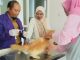 Puskeswan Pati Gelar Vaksinasi Rabies Gratis