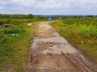 Jalan Poros Dukuh Bulaksempu Desa Sumber Memprihatinkan