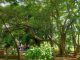 Suasana Tenang Hutan Kota Kalidoro, Nyaman untuk Istirahat di Tengah Riuhnya Pati