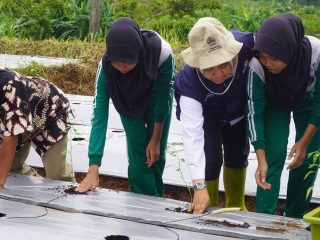 Je.Farming Dorong Minat Generasi Muda Terjun di Sektor Pertanian 