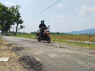 Baru Diaspal, Jalan di Desa Jambean Margorejo Mengelupas
