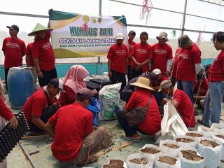 Petani Jaken Ikuti Kursus Tani, Dikenalkan dengan Benih Bawang Merah Biji