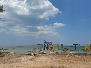 Jepara Sumbang 7,3 Persen Mangrove Program Mageri Segoro di Jateng 