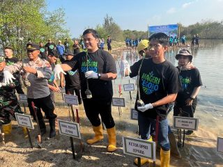 23 Ribu Batang Mangrove Ditanam dari Kedungmalang hingga Tanggultlare