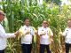 Panen Jagung, Lapas Pati Wujudkan Program Ketahanan Pangan