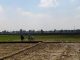 Petani Pati Mulai Hadapi Musim Tanam Ketiga