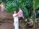Panen Buah Matoa di Tayu, Berkah bagi Petani dengan Hasil Besar