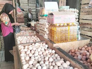 Sempat Fluktuatif, Harga Telur di Pati Turun Pekan Ini