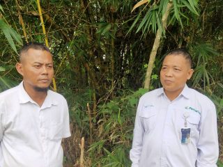 Menelusuri Hutan Bambu di Regaloh Pati, Pelindung Kehidupan Warga 