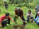 Kolaborasi Hijau, Perhutani Pati Tanam Ratusan Pohon di Kajar Kudus