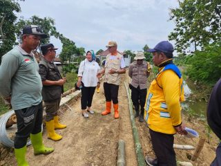 Tinjau Pembangunan Tanggul Darurat Ketitangwetan, Sri Wulan Tegaskan Ini